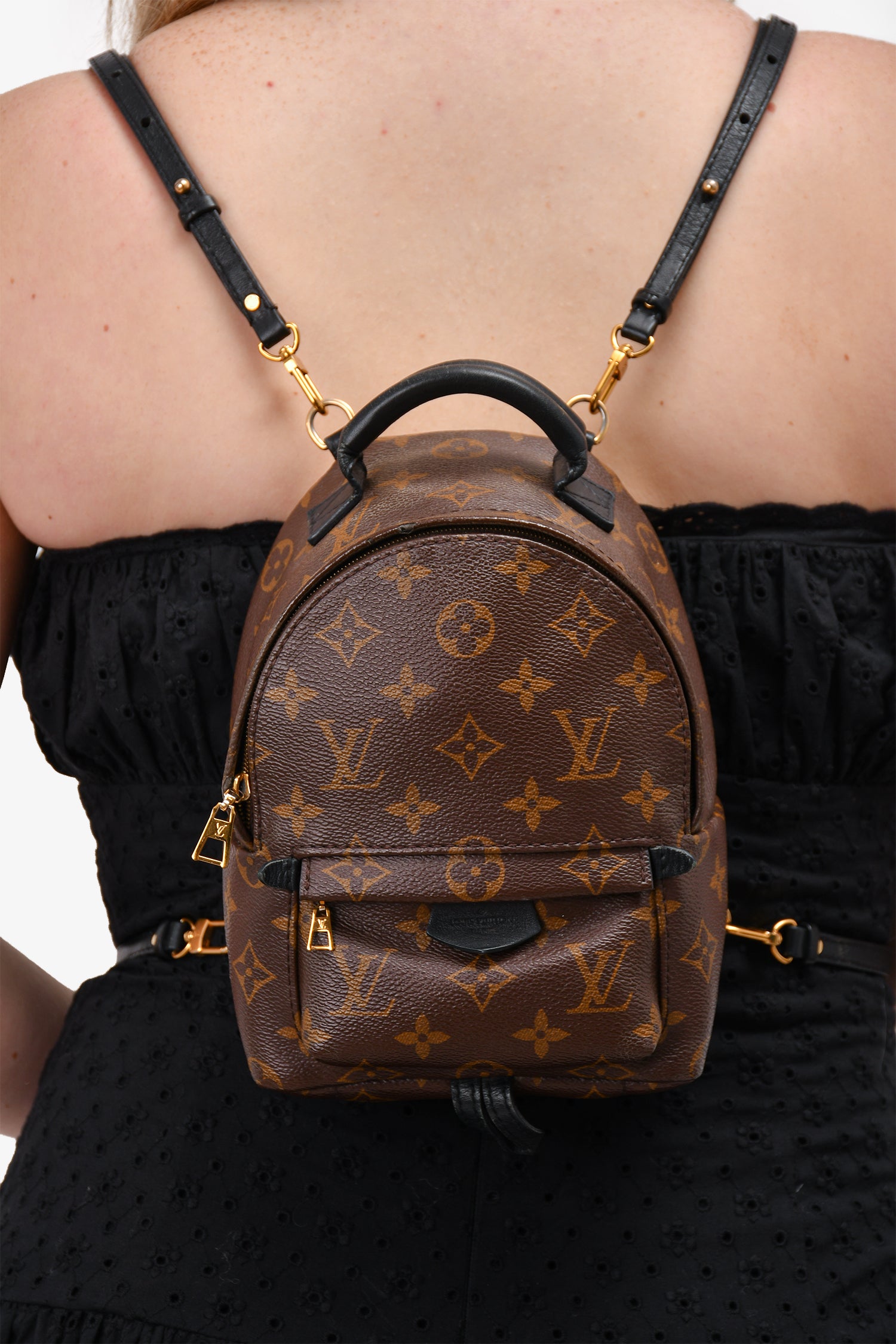 Louis Vuitton 2017 Monogram Palm Springs Mini Backpack  Mine & Yours