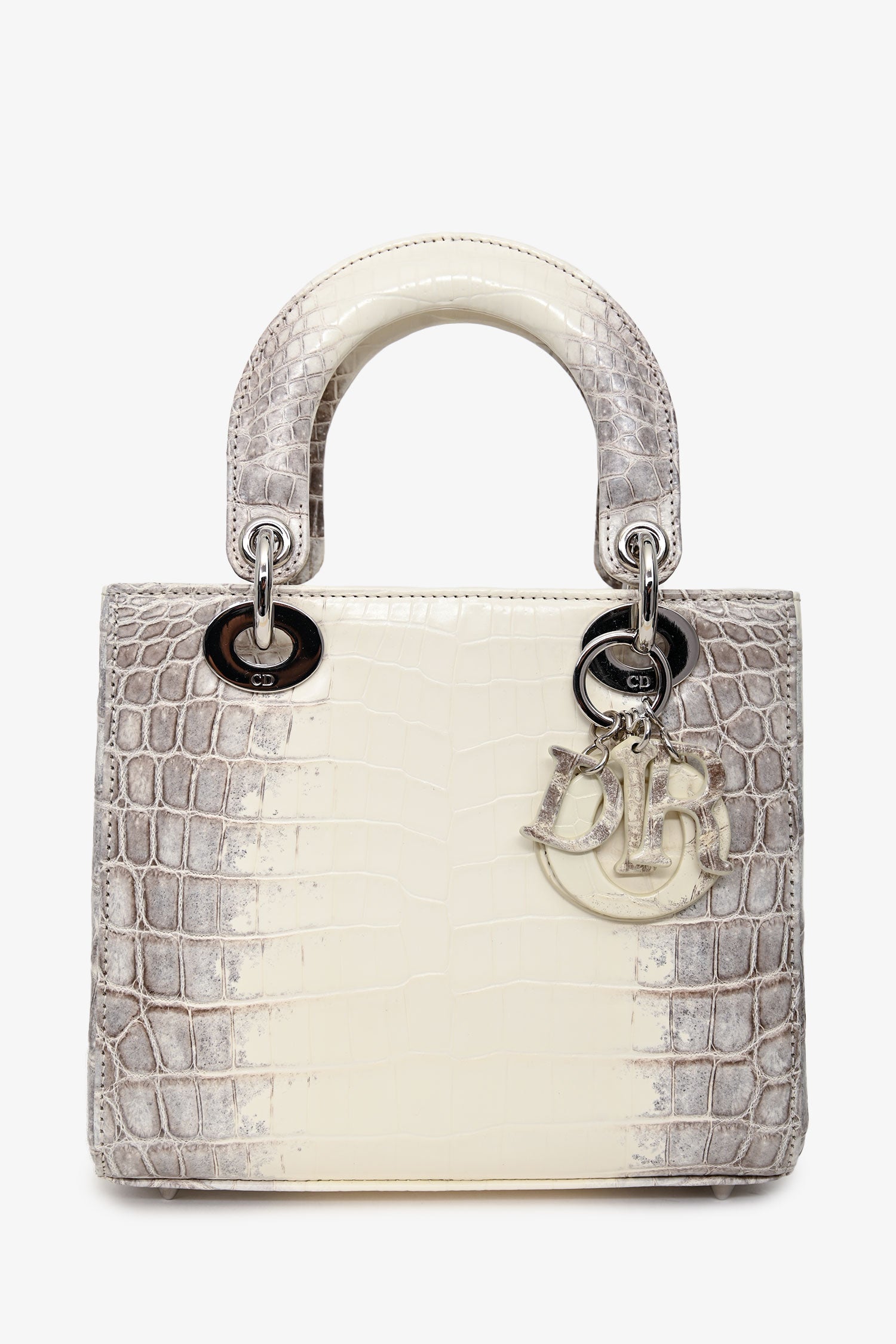 Christian Dior 2021 Niloticus Himalayan Crocodile Leather Small