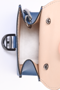 Delvaux 2025 bag charm