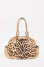 Dolce & Gabbana Leopard / Leather Bag