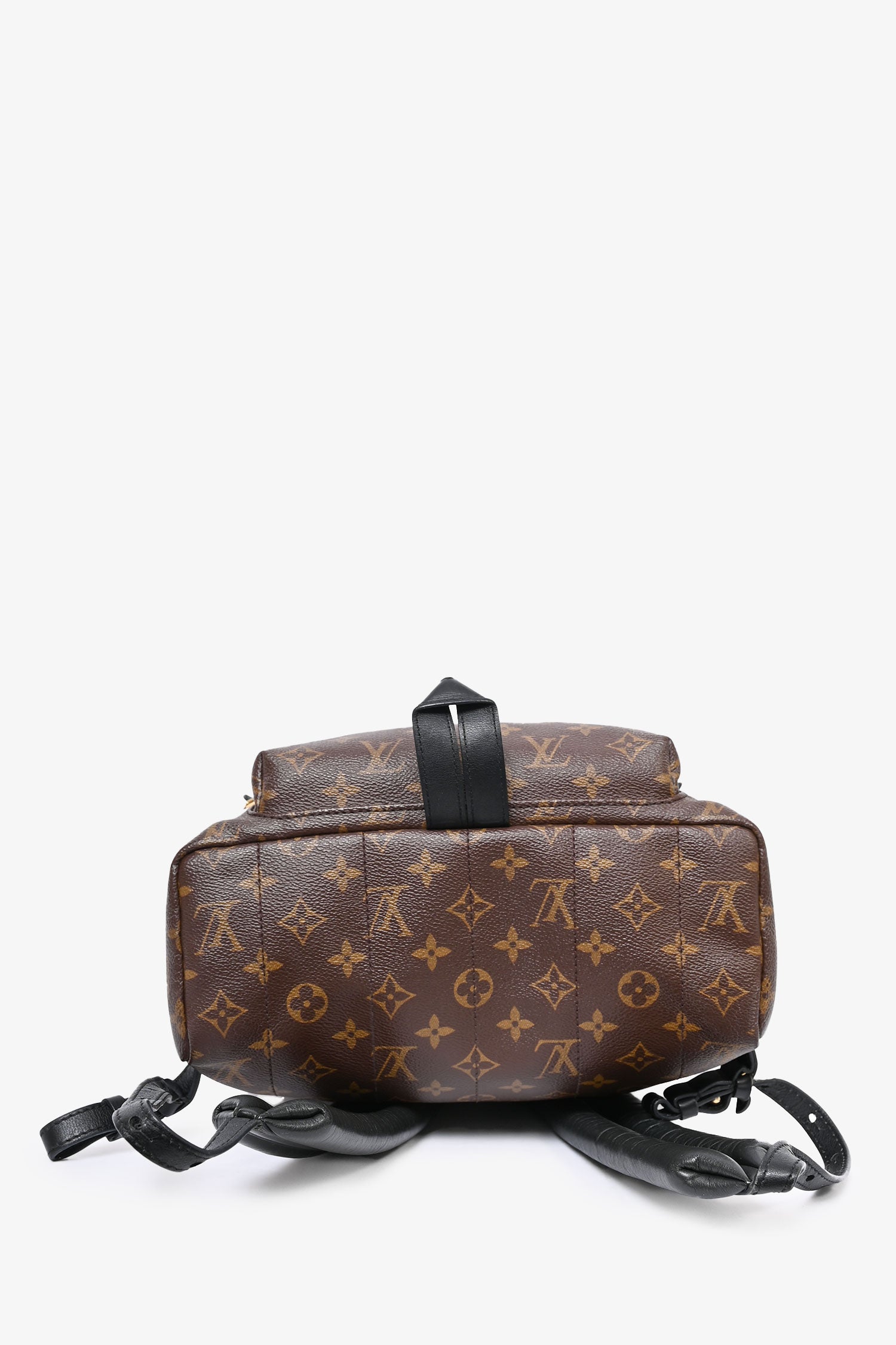 Louis Vuitton Monogram Palm Springs Backpack MM – Mine & Yours