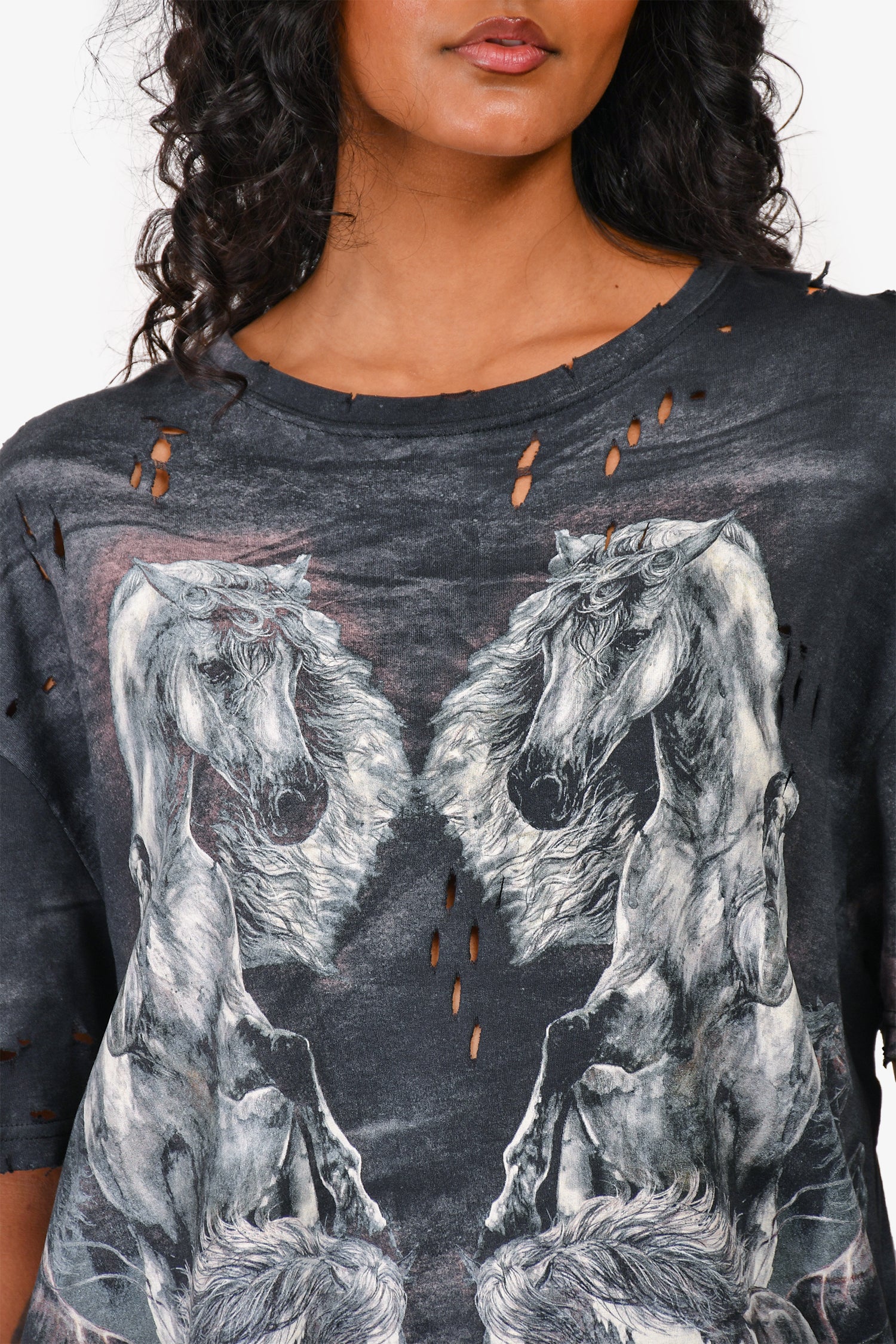 Balmain Dark Grey Distressed Horse Printed T-Shirt Size S Mens