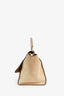 Celine Taupe Leather/Beige Suede Small Trapeze Bag with Strap