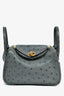 Hermès 2024 Grey Ostrich Leather Mini Lindy 20