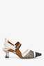 Fendi Brown Mesh Zucca Print Pointed 'Colibri' Heels Size 39