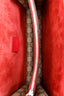 Gucci Brown/Red GG Supreme Monogram Medium Dionysus Shoulder Bag