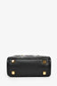Fendi Black Zucca Embossed Leather/Tortoise Sunshine Mini Top Handle Bag