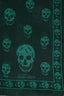 Alexander McQueen Green/Black Scarf