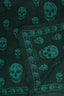 Alexander McQueen Green/Black Scarf