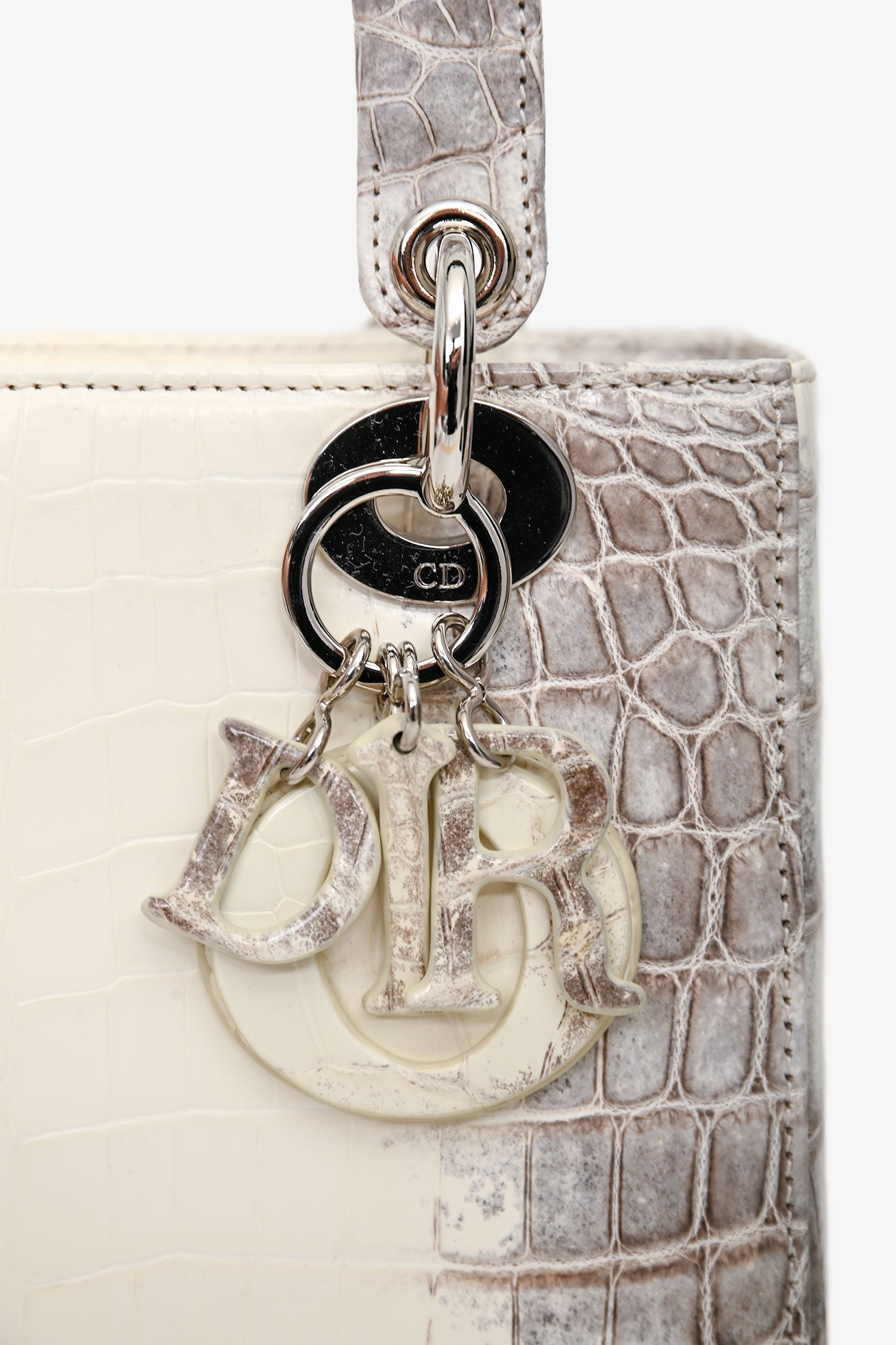 Christian Dior 2021 Niloticus Himalayan Crocodile Leather Small