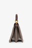 Fendi Brown Wool Houndstooth Peekaboo IseeU Petite Handbag