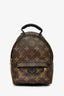Louis Vuitton Monogram Canvas Mini Palm Springs Backpack