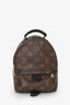 Louis Vuitton 2020 Monogram Palm Springs Mini