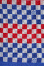 Louis Vuitton Blue/Red Check Cotton Silk Shawl