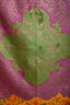 Etro Purple/Green Pocket Square Men's