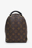Louis Vuitton 2020 Monogram Palm Springs Mini Backpack
