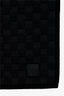 Louis Vuitton Black Check Wool Logo Scarf