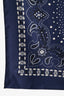 Sandro Blue Silk Paisley Print 65