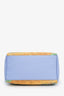 Louis Vuitton x Jeff Koons Masters Collection Van Gogh Speedy 30 Handbag