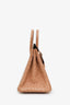 Hermès 2022 Chai Ostrich Leather Birkin 25